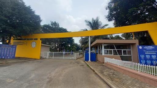 DRTIT-gallery-image-5