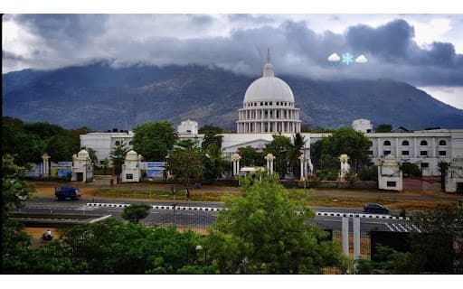 VMRF-gallery-image-5