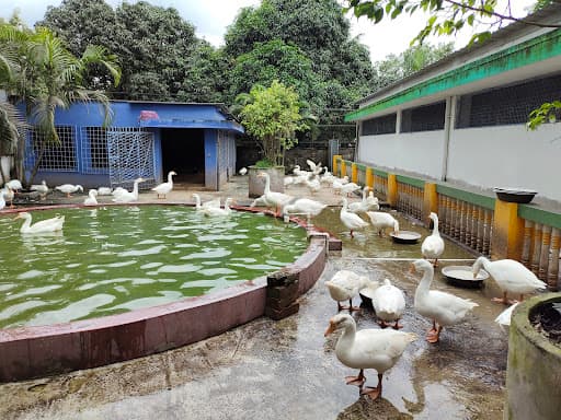 MIET Hooghly-gallery-image-5