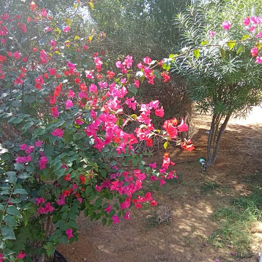 RVS CET Karaikal-gallery-image-5