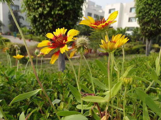 United College of Education-gallery-image-7