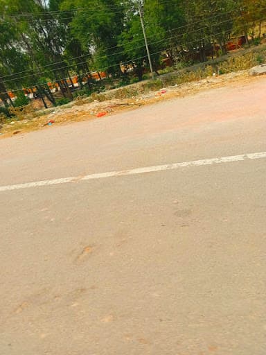 Kanchan Singh Bhooli Devi Mahavidyalaya-gallery-image-6