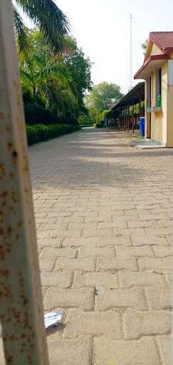 Kanchan Singh Bhooli Devi Mahavidyalaya-gallery-image-7