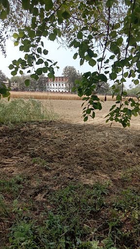 Kanchan Singh Bhooli Devi Mahavidyalaya-gallery-image-5