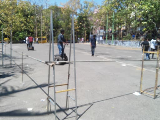 NICE-gallery-image-6