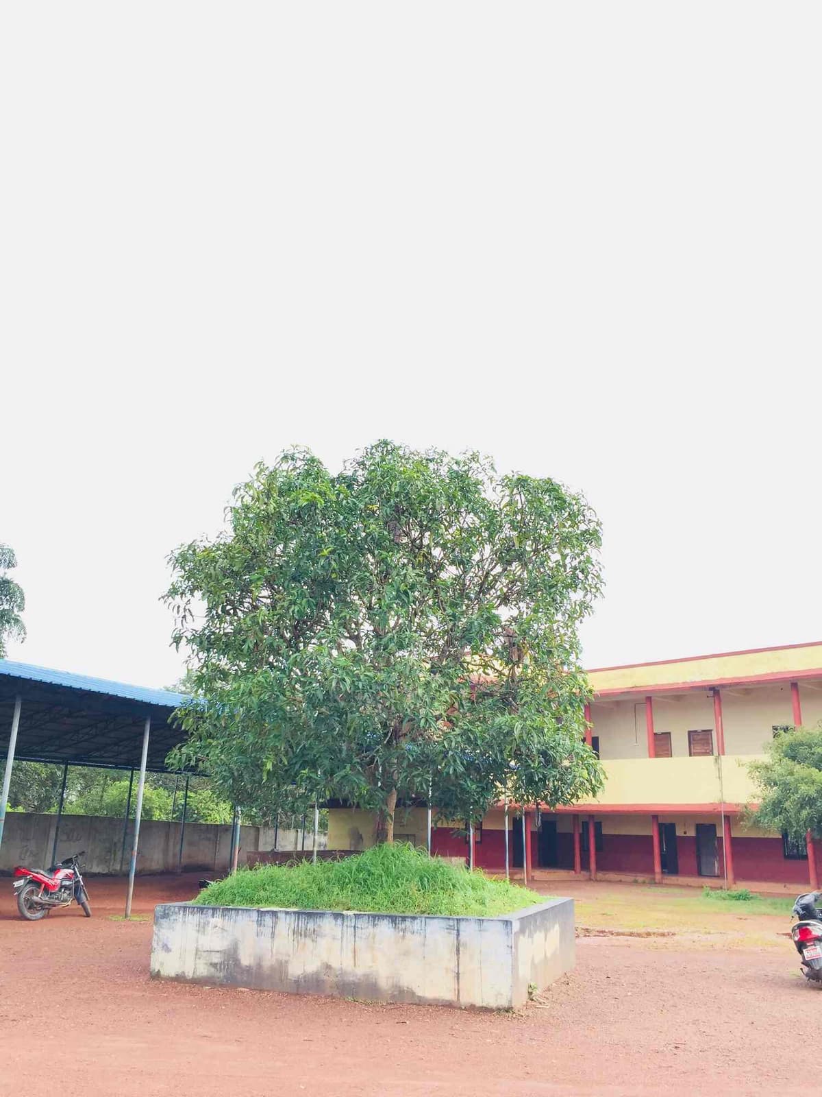 MAS College Palakkad-gallery-image-3