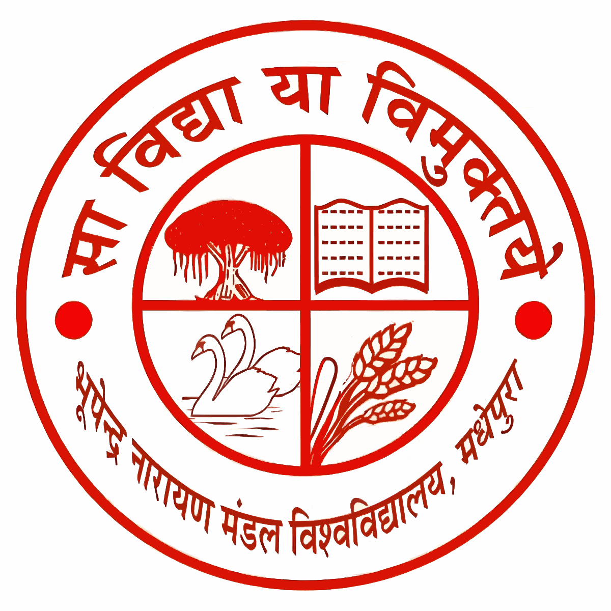 Bhupendra Narayan Mandal University-image