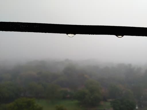 SAU New Delhi-gallery-image-6