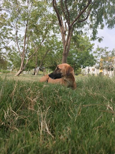 KSKVKU-gallery-image-7