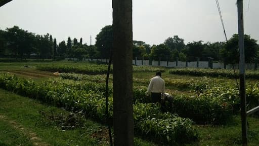 BAU Ranchi-gallery-image-7