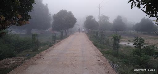 MMYVV Katni-gallery-image-5