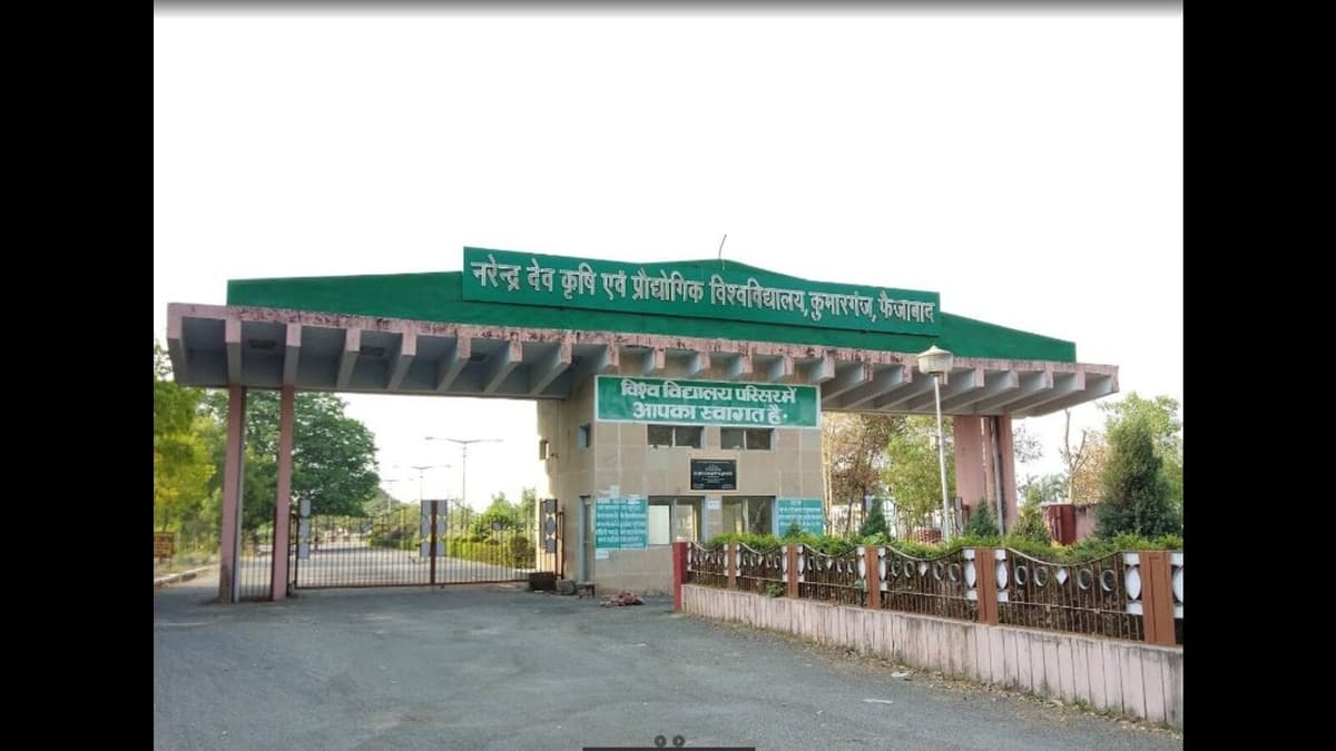 ANDUAT-gallery-image-2