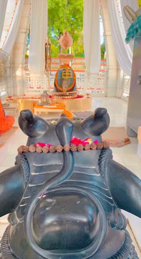 DSVV Haridwar-gallery-image-6