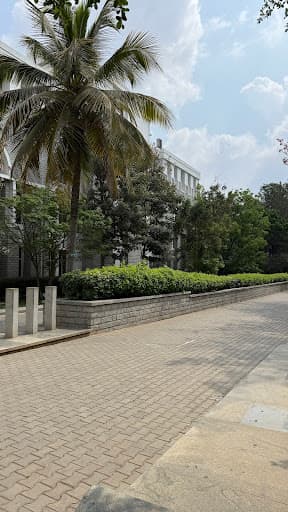 REVA U-gallery-image-5