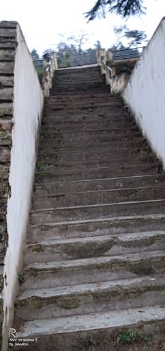 SSJU-gallery-image-5