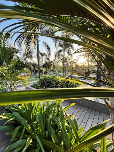 KK Modi University-gallery-image-5