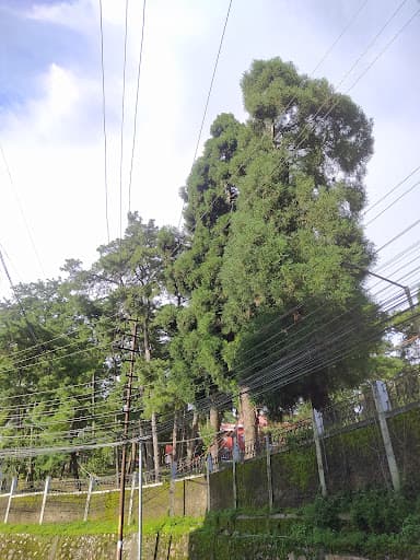 NLU Meghalaya-gallery-image-6