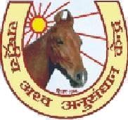 National Research Centre on Equines-image