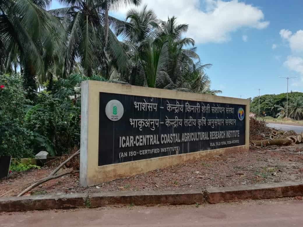 ICAR-Central Coastal Agricultural Research Institute-image