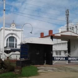 Directorate of Distance Education, Tripura University-image