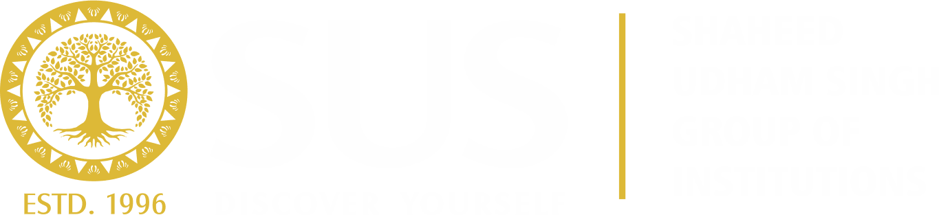 Shaheed Udham Singh Institute of Computer-image