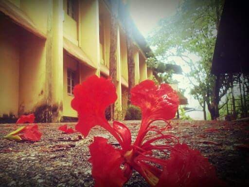 GLC Kozhikode-gallery-image-6