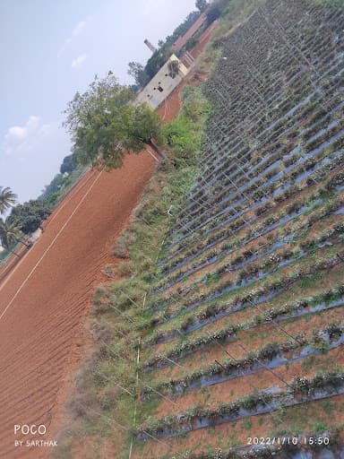 Basavashree College of Law-gallery-image-7