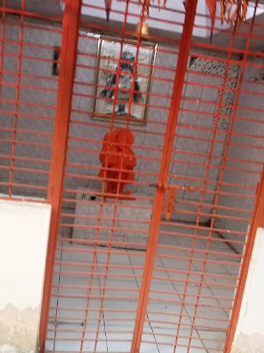 K. D. Pawar College of Physical Education-gallery-image-5